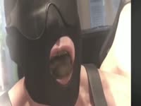 Toilet Mouth Bouche Merde